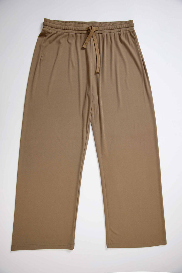 Brown Women Pant-440480113