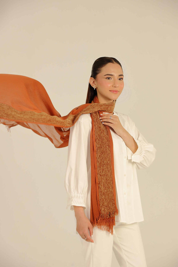 Brown Women Scarf-442562113