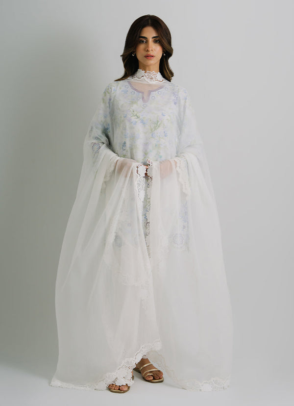 Applique Lace Dupatta