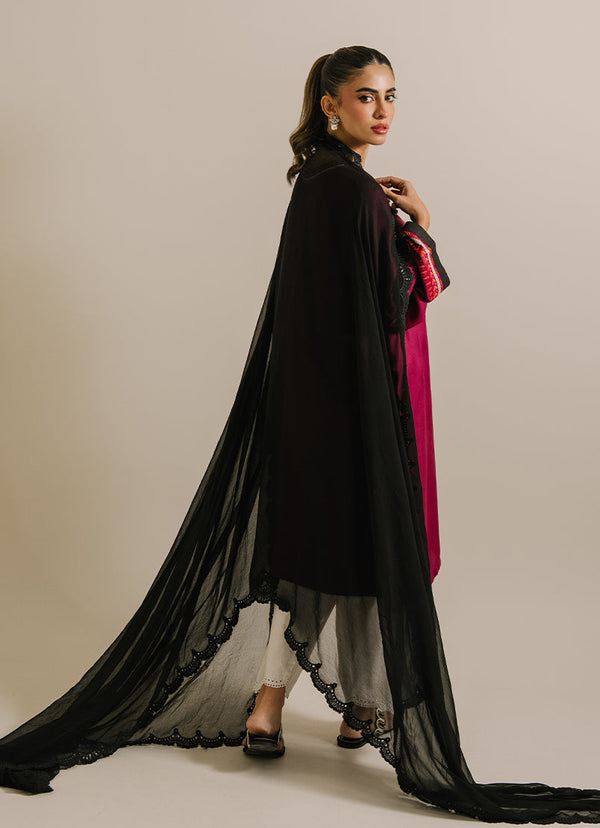 Chiffon Applique Dupatta