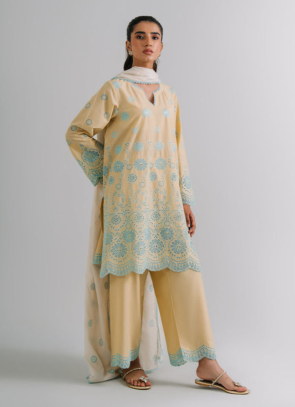 3 PC Embroidered Suit