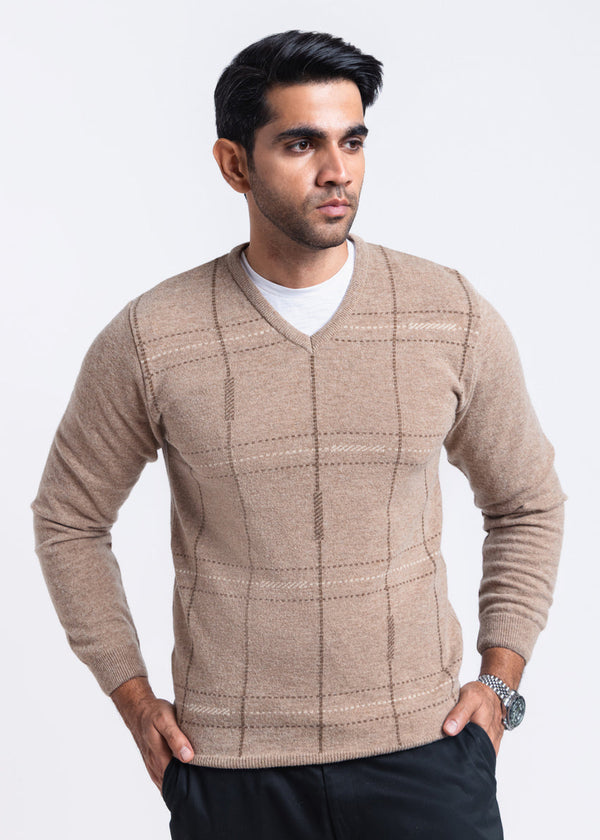 Mashroom-V-Neck Full Sleeves Sweater (506-14)