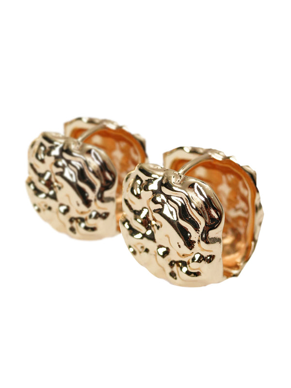 Earrings - AL-ER-1157