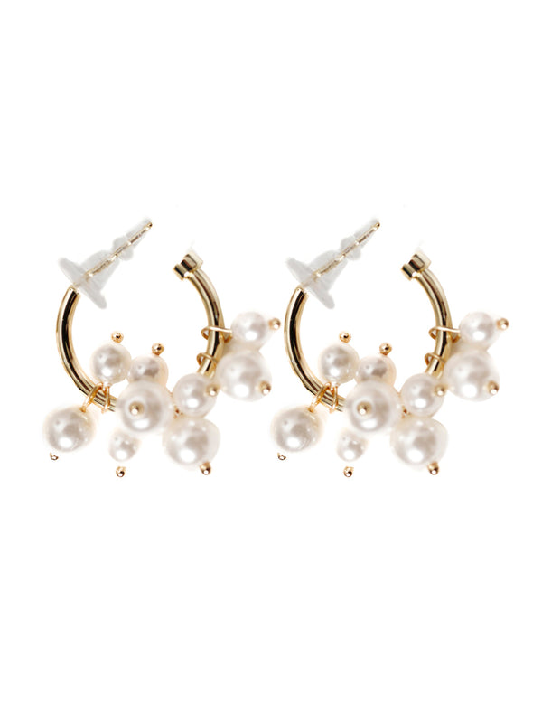 Earrings - AL-ER-1173