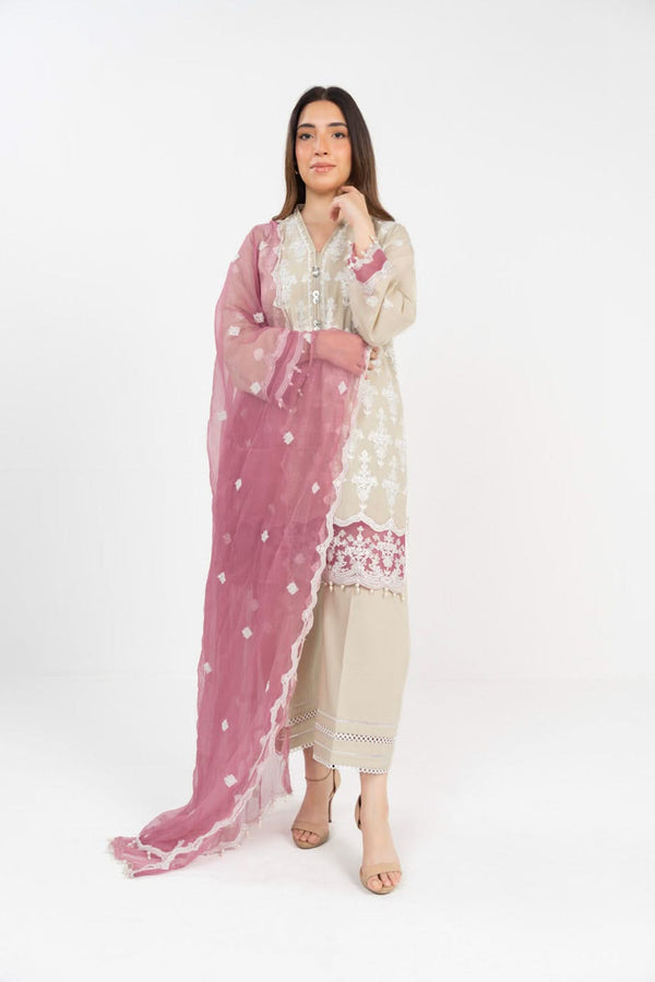 RTS | SHIRT, TROUSER & DUPATTA