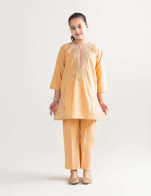 2 PIECE ALLOVER EMBROIDERED SUIT