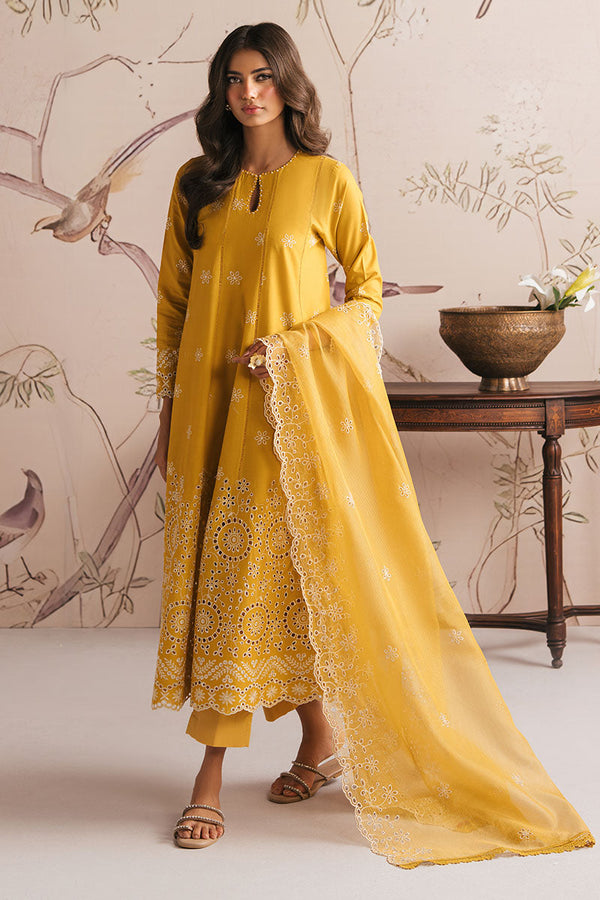 AMBER GLOW-3PC CHIKANKARI SUIT