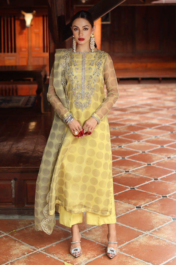 3-PC Embroidered Organza Suit CMA-5-036