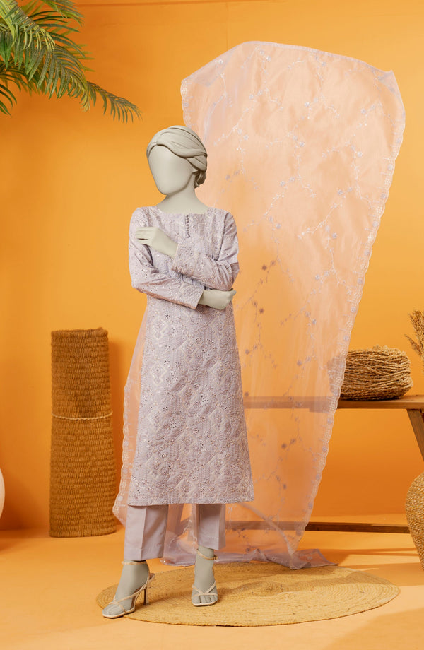 EMBROIDERED RAW SILK 3 PCS UNSTITCHED