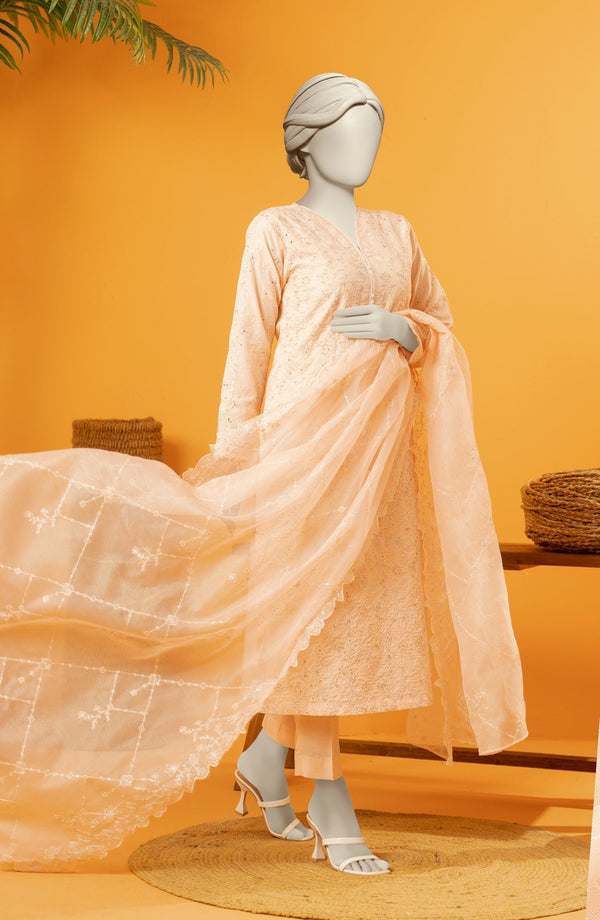 EMBROIDERED RAW SILK 3 PCS UNSTITCHED