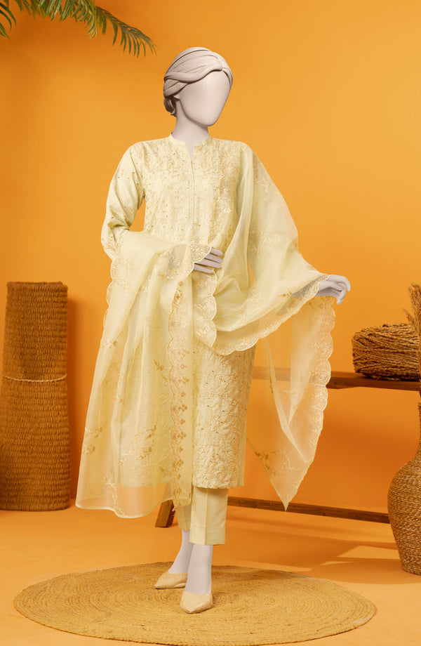 EMBROIDERED RAW SILK 3 PCS UNSTITCHED