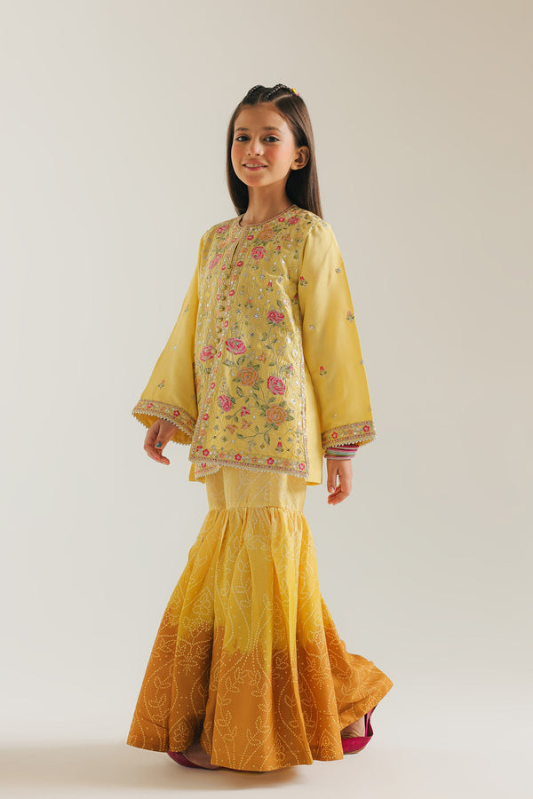 EMBROIDERED SUIT (E0217/415/110 E0217/315/110)