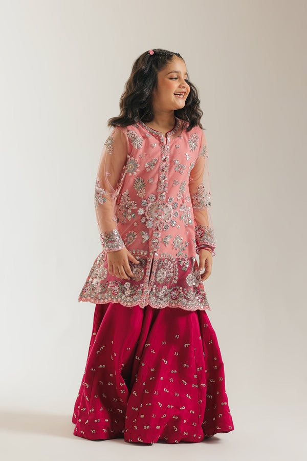 EMBROIDERED SUIT (E0222/415/527 E0222/315/527)