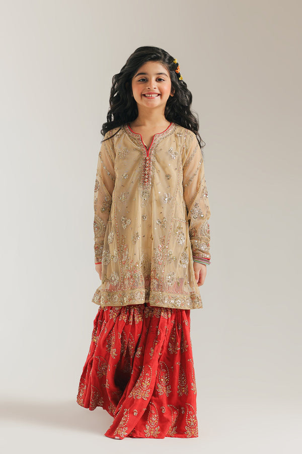 EMBROIDERED SUIT (E0223/415/119 E0223/315/119)