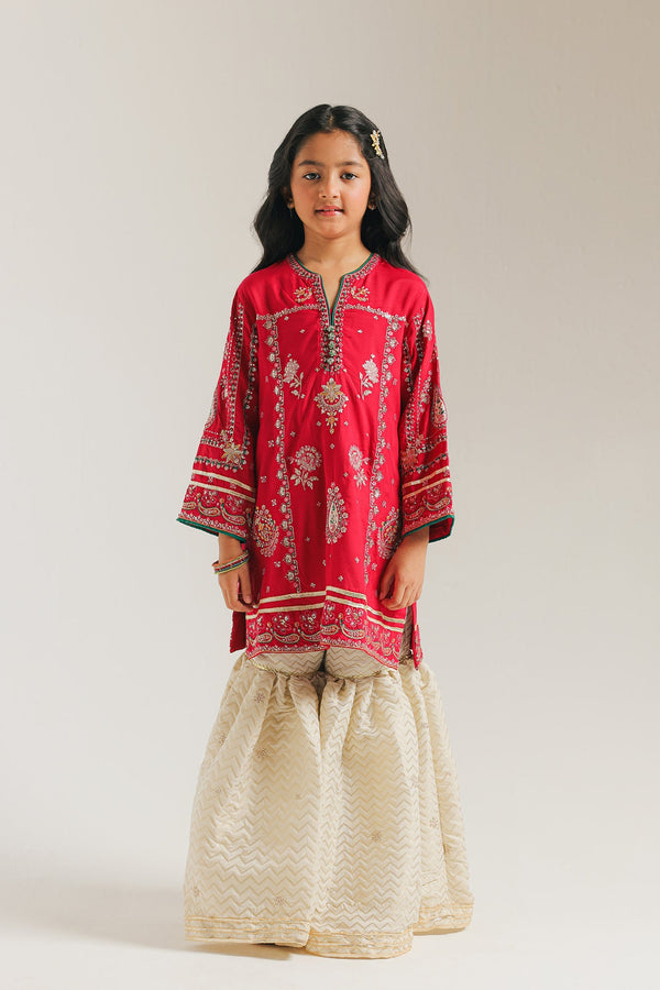 EMBROIDERED SUIT (E0228/415/416 E0228/315/416)