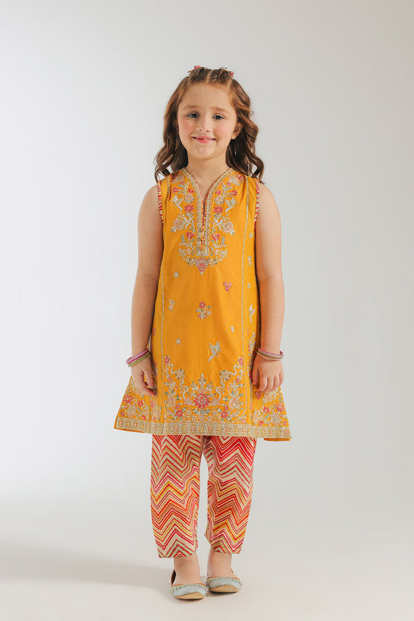 EMBROIDERED SUIT (E0629/404/220 E0629/304/220)