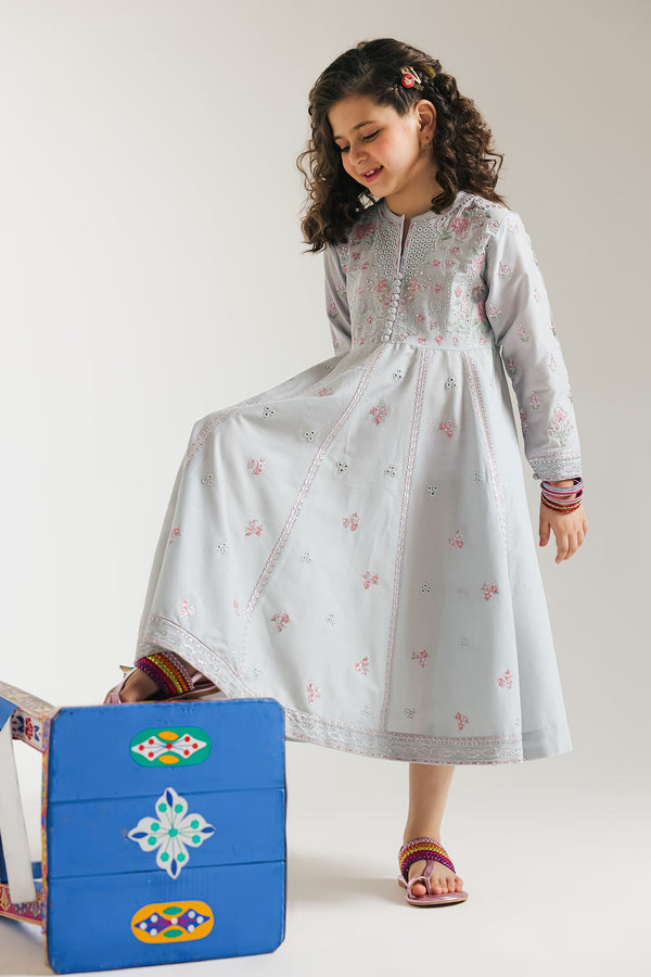 EMBROIDERED PISHWAS (E0697/404/617 E0697/304/617)