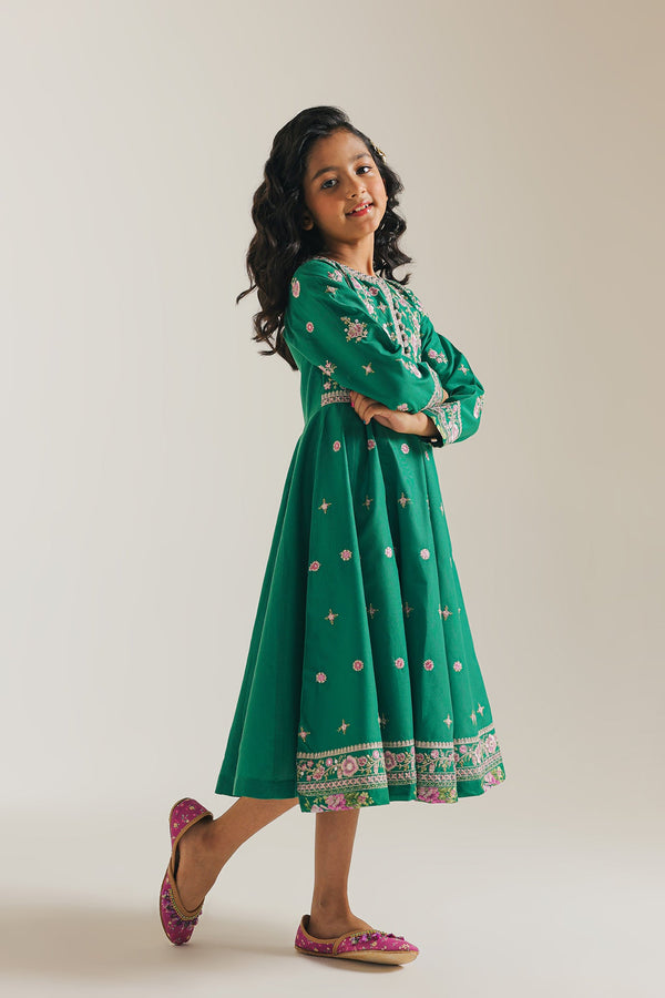 EMBROIDERED PISHWAS (E0719/404/707 E0719/304/707)