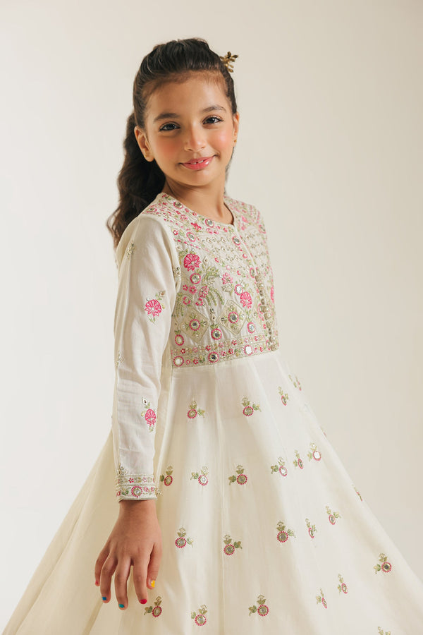 EMBROIDERED PISHWAS (E0733/404/004 E0733/304/004)