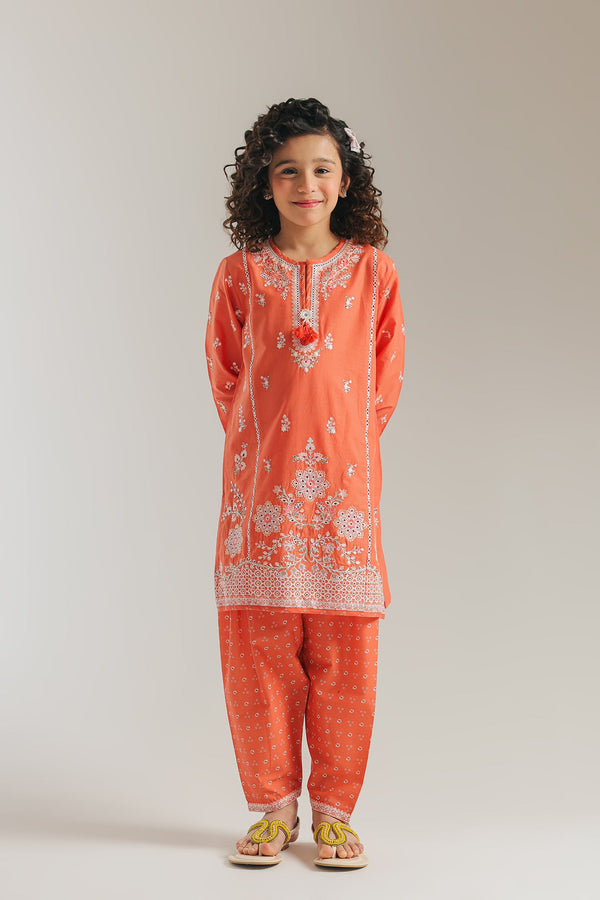 EMBROIDERED SUIT (E1079/402/325 E1079/302/325)