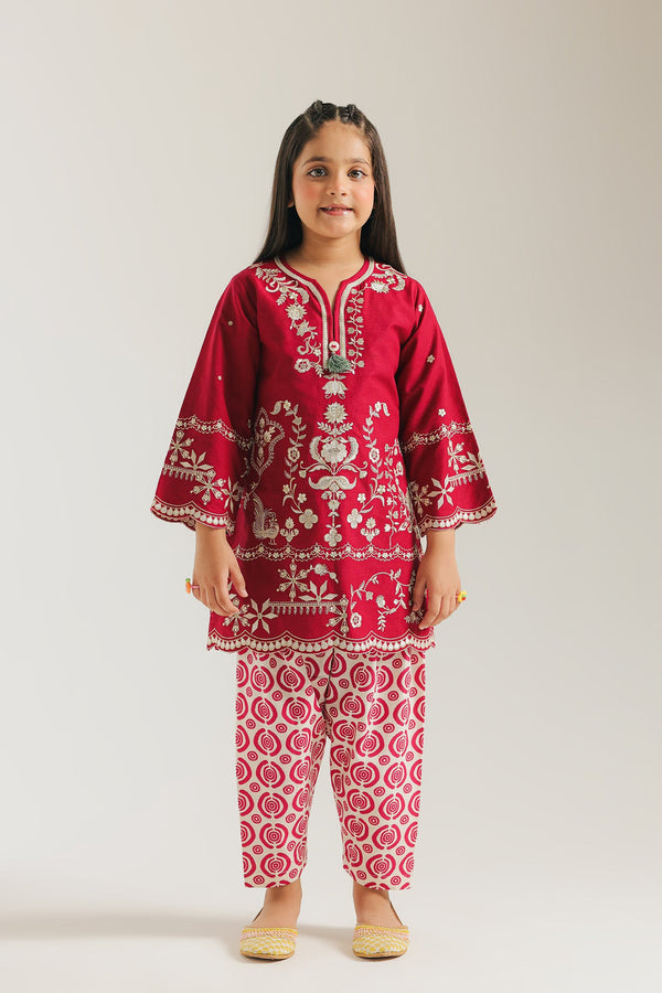 EMBROIDERED SUIT (E1360/402/307 E1360/302/307)