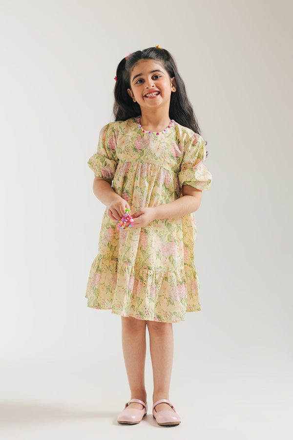 EMBROIDERED DRESS (E1401/301/110)