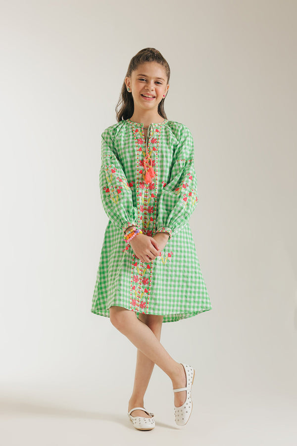 EMBROIDERED DRESS (E1409/401/708)