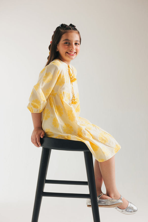 EMBROIDERED DRESS (E1412/401/101)