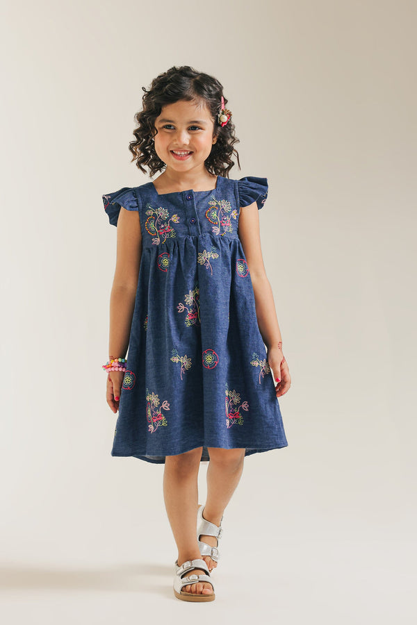 DRESS (E1417/301/620)