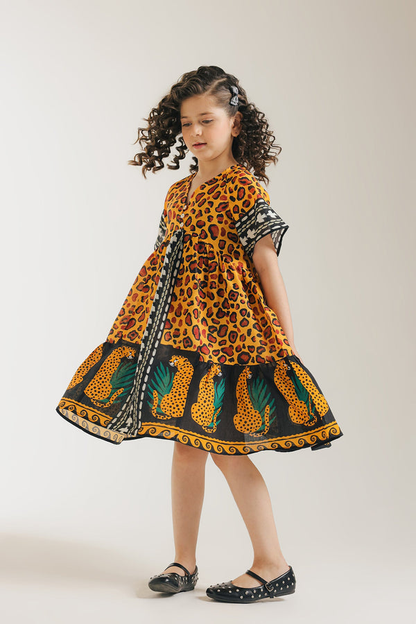 DRESS (E1434/401/219)