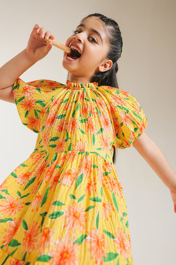 DRESS (E1676/401/101)