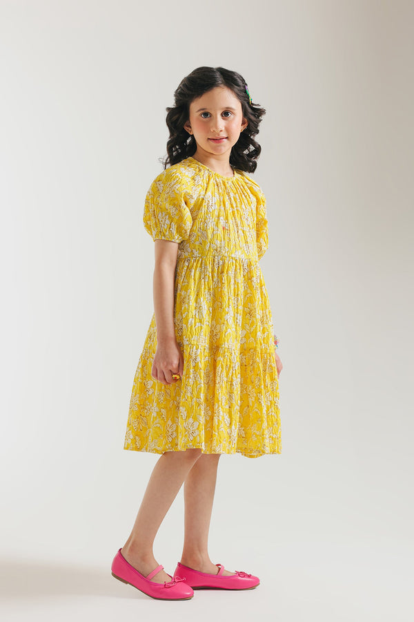 DRESS (E1683/401/101)