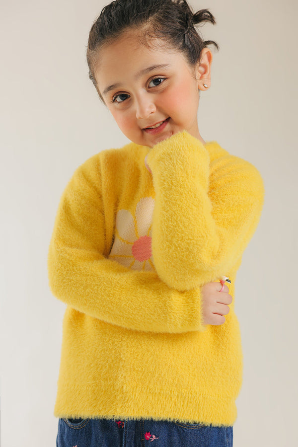 SWEATERS (E1873/301/109)