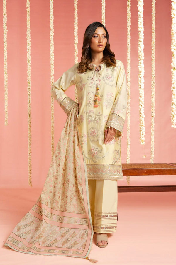 RTS | SHIRT, TROUSER & DUPATTA