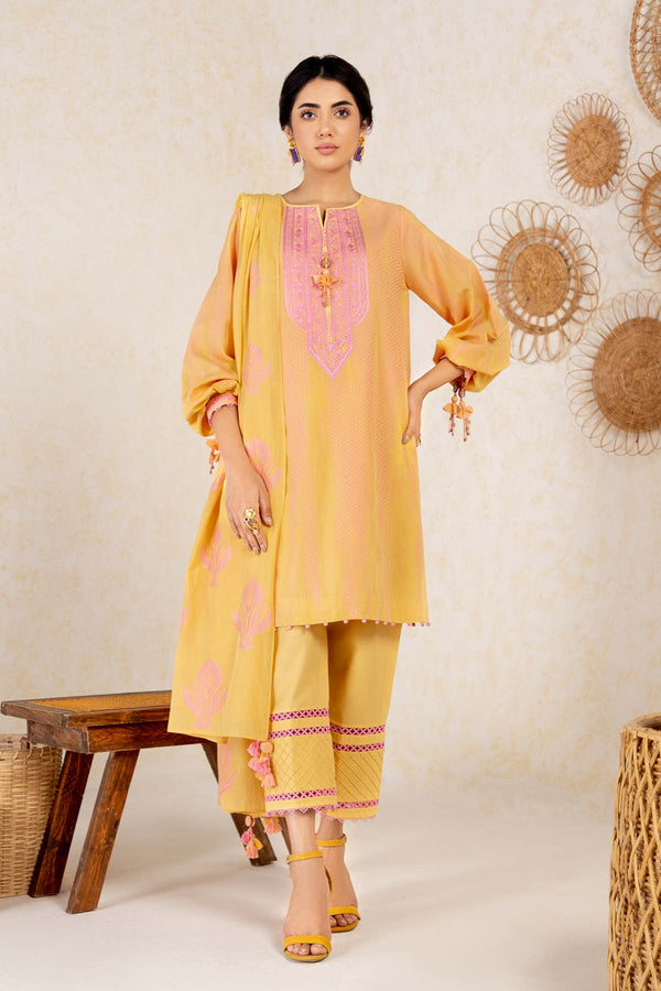 RTS | SHIRT, TROUSER & DUPATTA