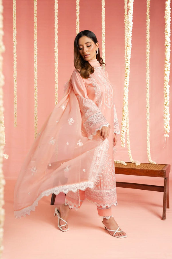 RTS | SHIRT, TROUSER & DUPATTA