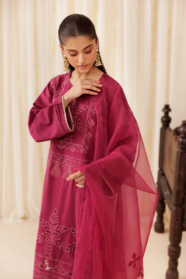 3 Piece - Embroidered Suit - PFE25-41