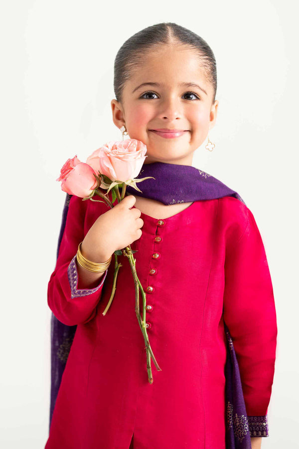 3 Piece - Embroidered Suit - PMD25-01 D