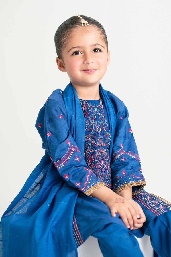 3 Piece - Embroidered Suit - PMD25-16 D