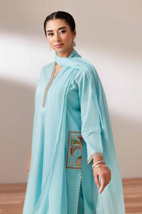 3 Piece - Embroidered Suit - PS25-169