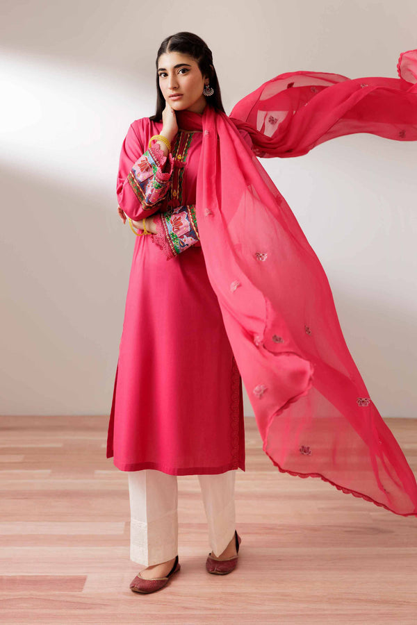 2 Piece - Embroidered Suit - PS25-191