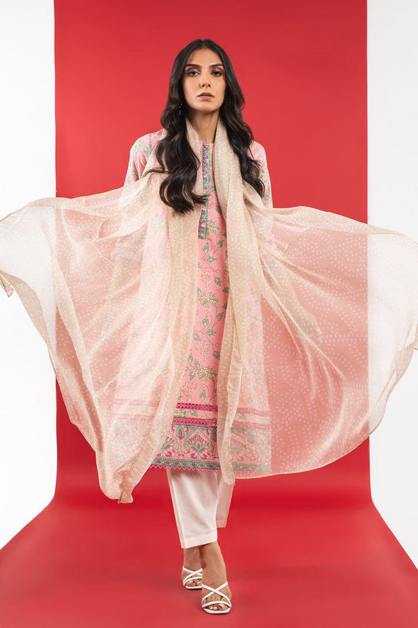 RTS | DUPATTA