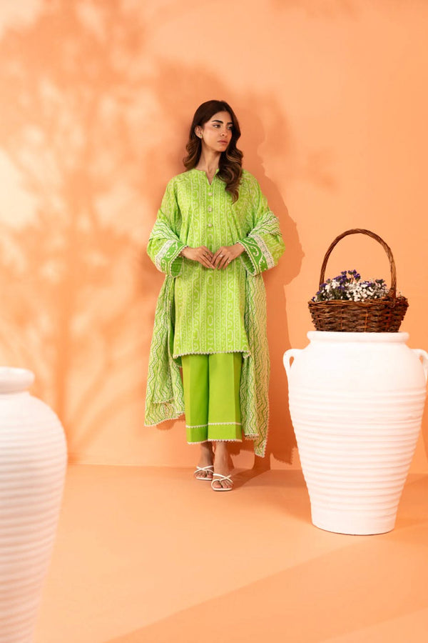 RTS | SHIRT, TROUSER & DUPATTA