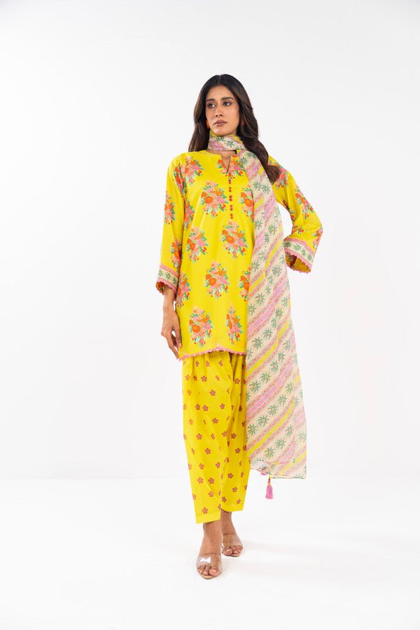 RTS | SHIRT, TROUSER & DUPATTA