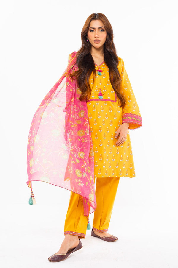 RTS | SHIRT, TROUSER & DUPATTA