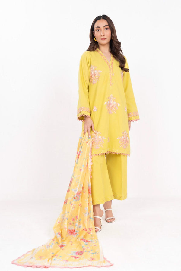 RTS | SHIRT, TROUSER & DUPATTA
