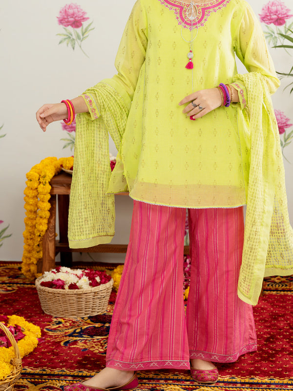 Light Green Khaddi Net Girl Stole - ALT-ST-1029