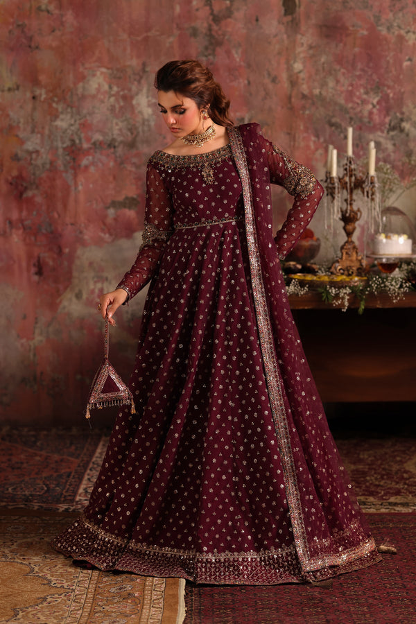 3-PC Embroidered Net Pishwas Suit stm-5-09