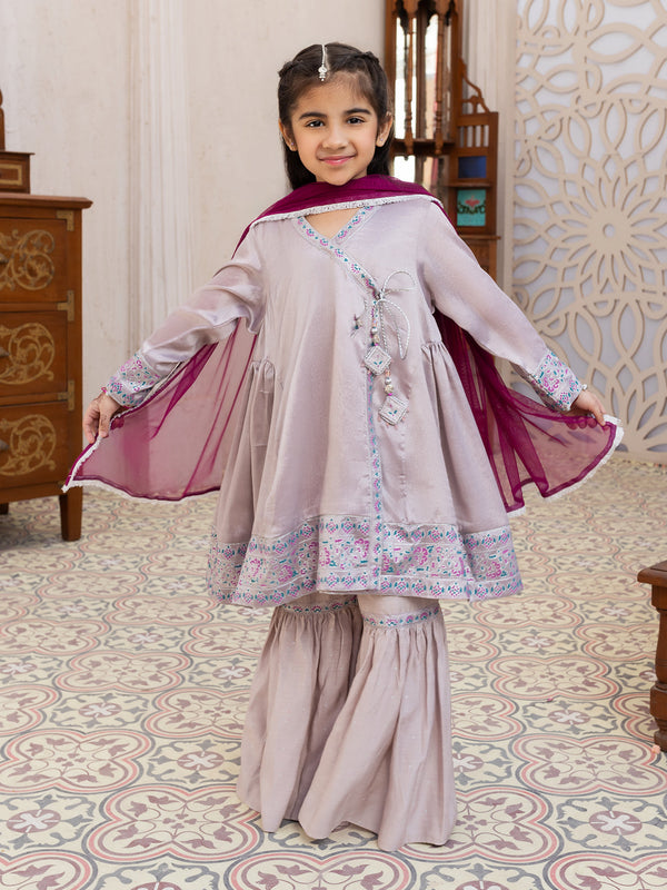 Grey Shimmer Net 3Pc Stitched - ALGR-3PS-LS-011