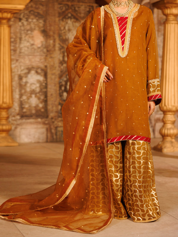 Brown Organza Formal 3Pc Stitched - AL-3PS-LS-527